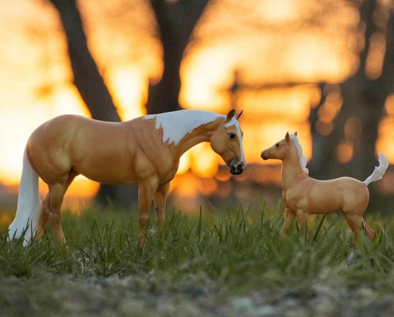 ebony-shines-and-charlize-quarter-horse-set-model-breyer-473361_870x700