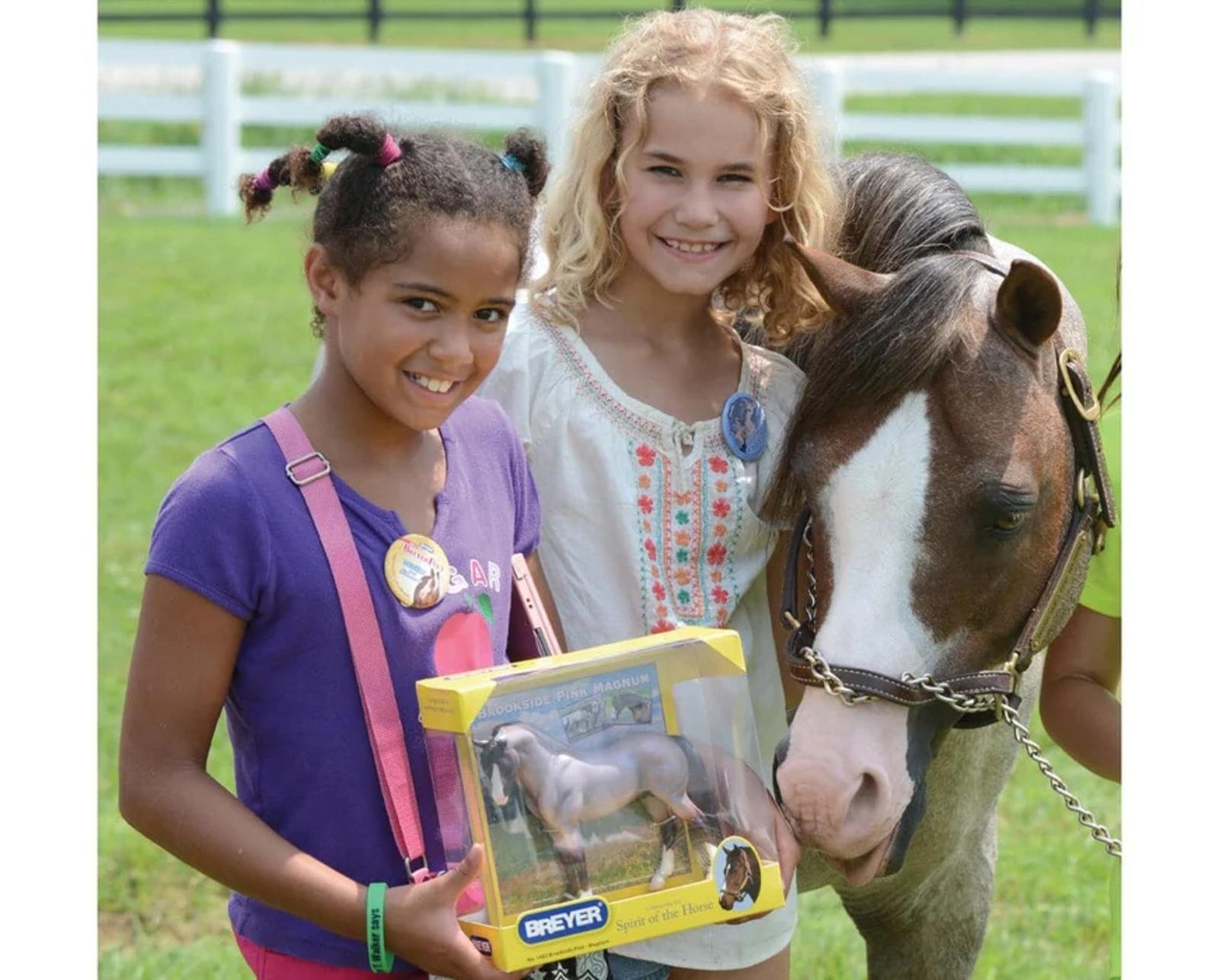 brookside-pink-magnum-model-breyer-193248_870x700