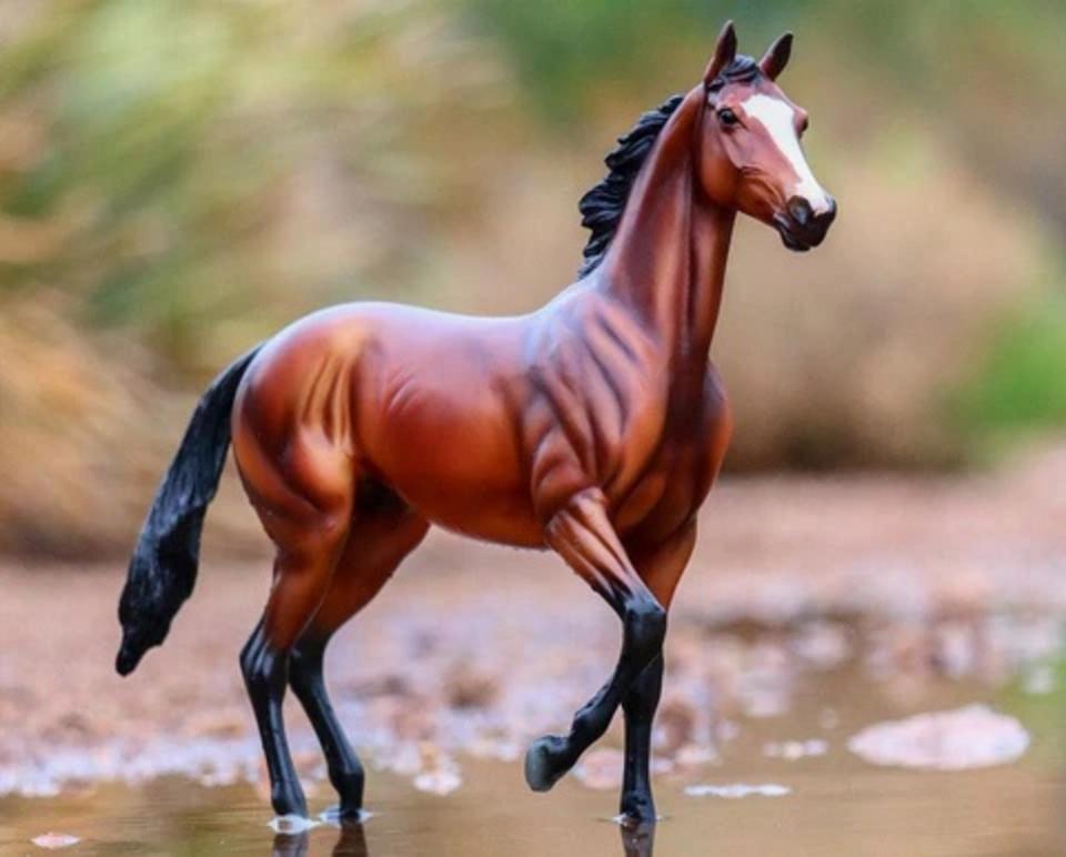 tiz-the-law-model-breyer-797520_480x480