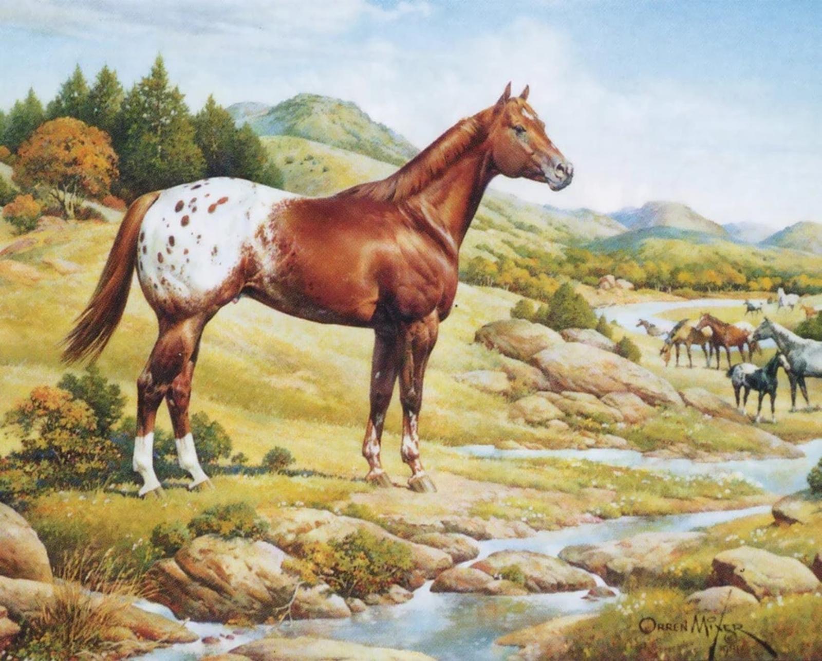 the-ideal-series-appaloosa-model-breyer-330038_870x700