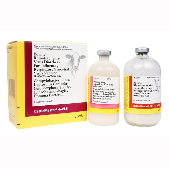 content/products/CATTLEMASTER 4 + VL5 25 DOSE