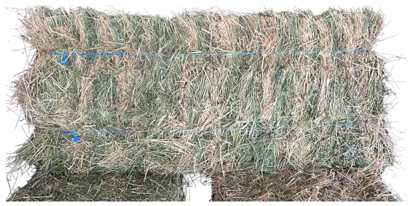 alfalfa hay bale 