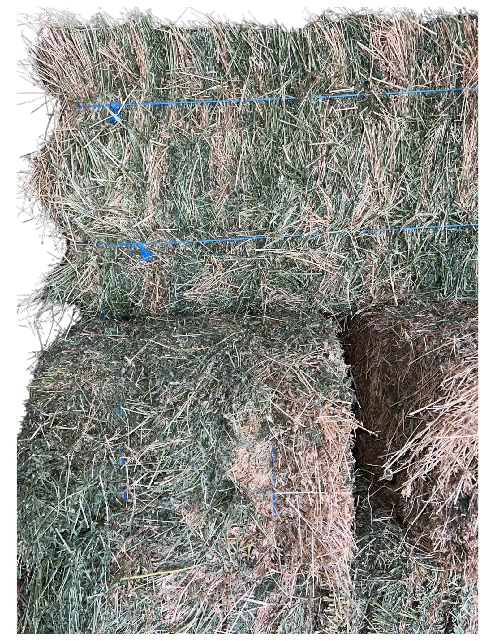alfalfa hay bales