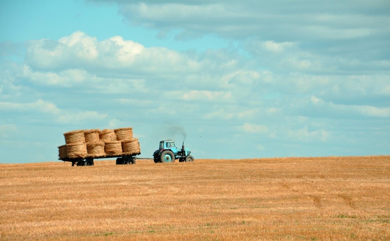 Forage Going to the Barn