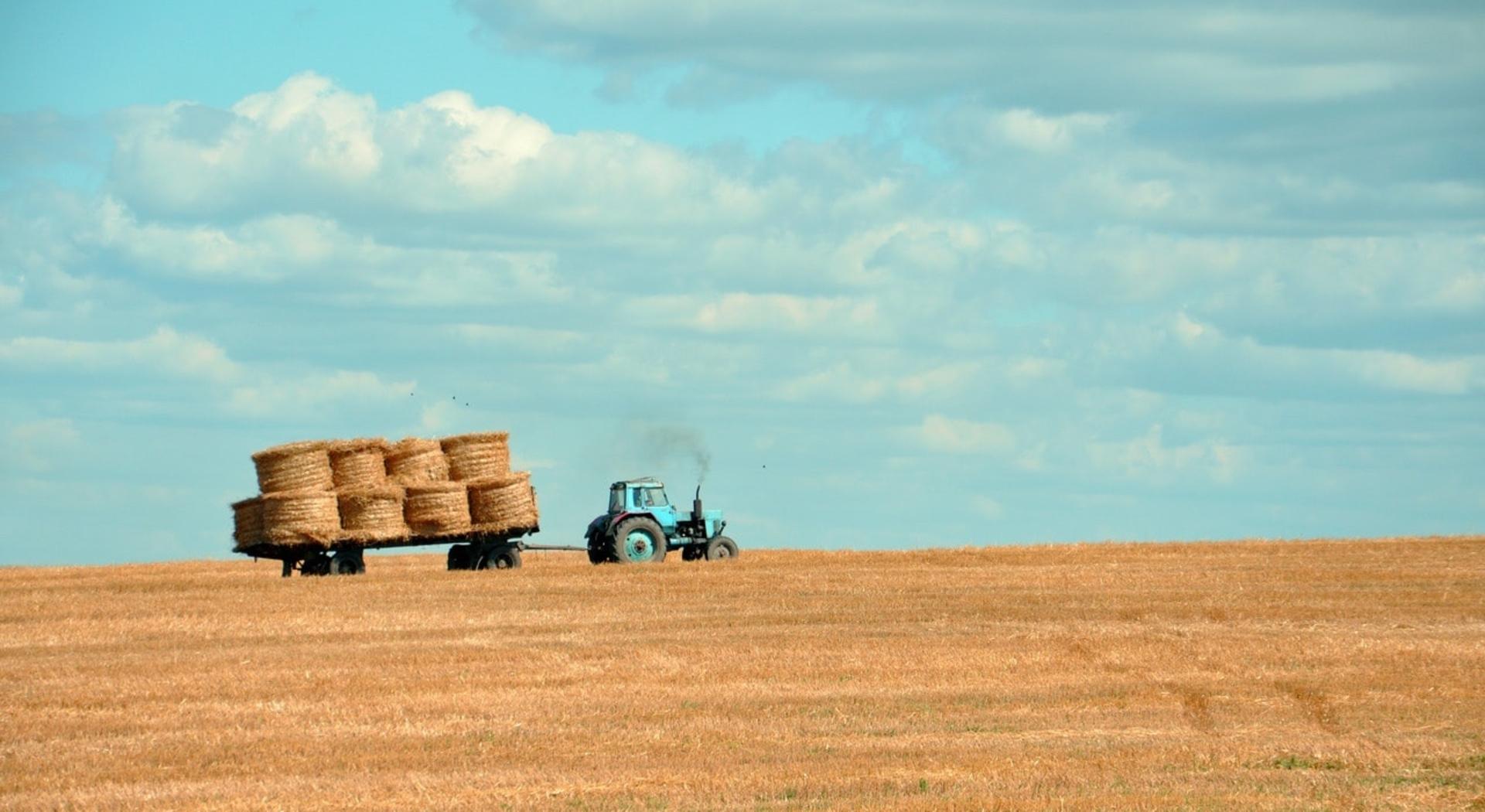 Forage Going to the Barn