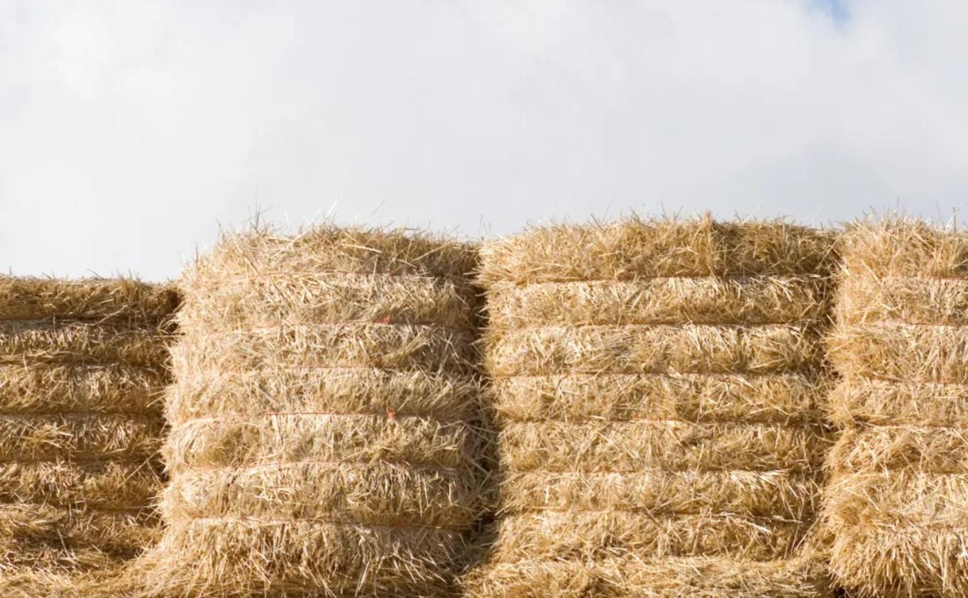 Forage Going to the Barn